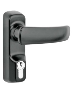 Manilla con cilindro para dispositivo antipánico. Incluye tornillos de fijación.