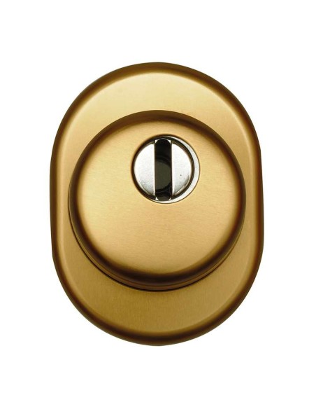 Escudo protector de alta seguridad antitaladro y antitubo con un Ø50 mm y distancia entre centros 32.