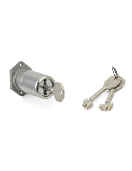 Cilindro a pompa de substitución